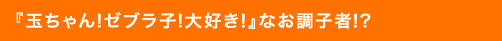 『玉ちゃん!ゼブラ子!大好き!』なお調子者!?